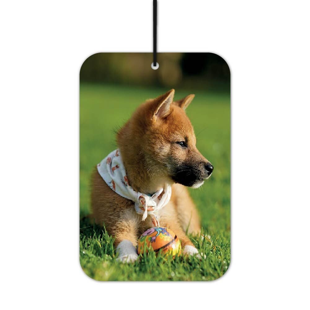 Auto Duft Shiba Inu