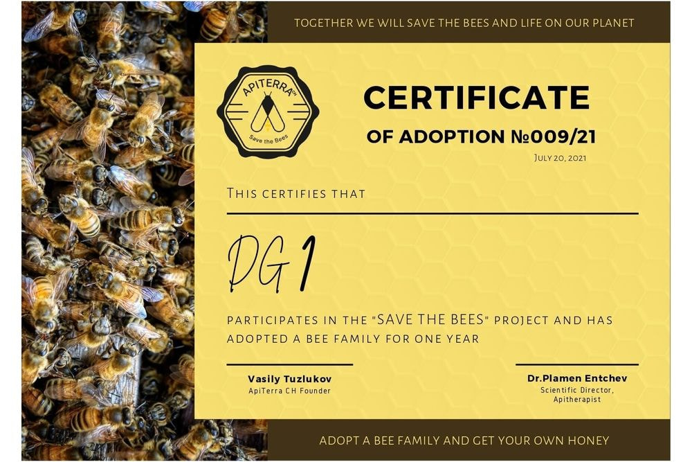 ADOPTION A BEE FAMILY