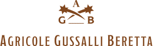 agricole-gussalli-beretta-logo-agb