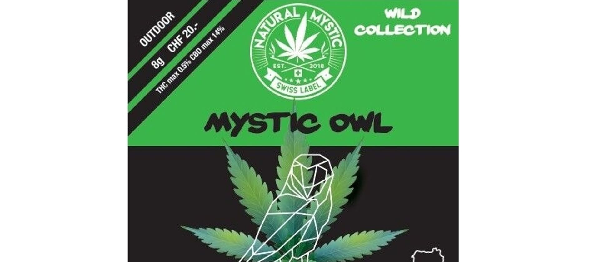 Mystic Owl