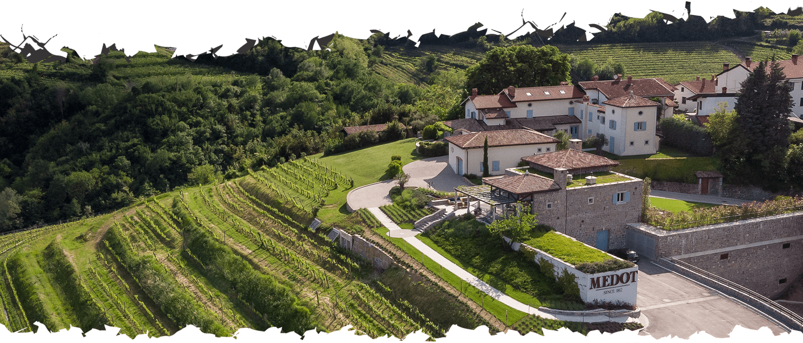 Vrhunska penina Medot | Medot Wines