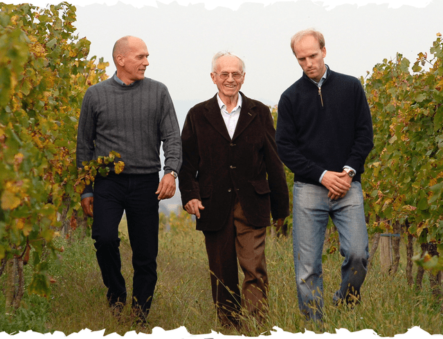 Vrhunska penina Medot | Medot Wines