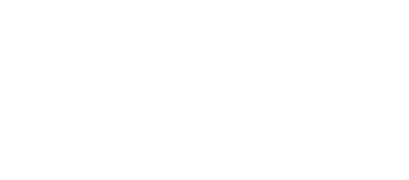 ramona -high resolution (1).png