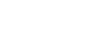 DG1